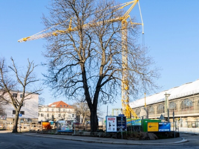 Objektansicht in Bauphase