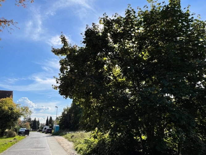 Anliegerstraße von Nord