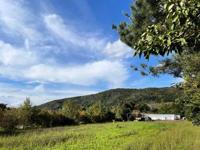 Blick nach Nordwesten