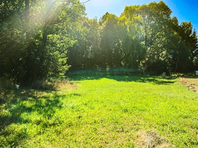 Waldidylle (3)