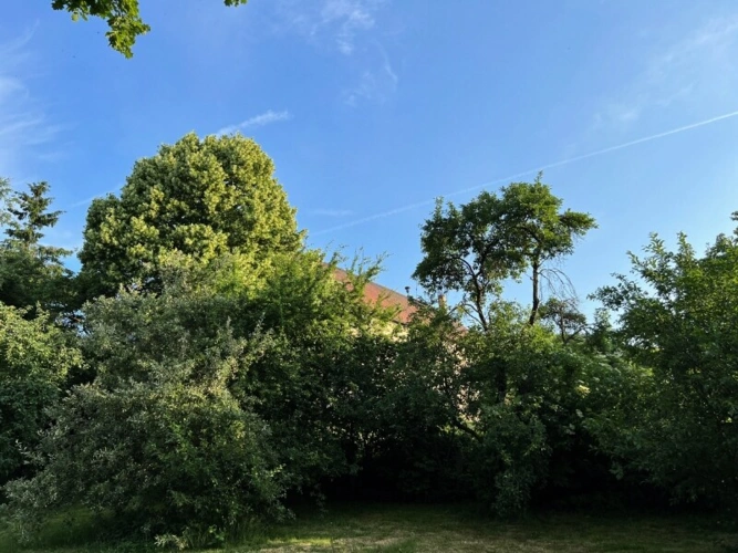 So sieht Sie Ihr Nachbar