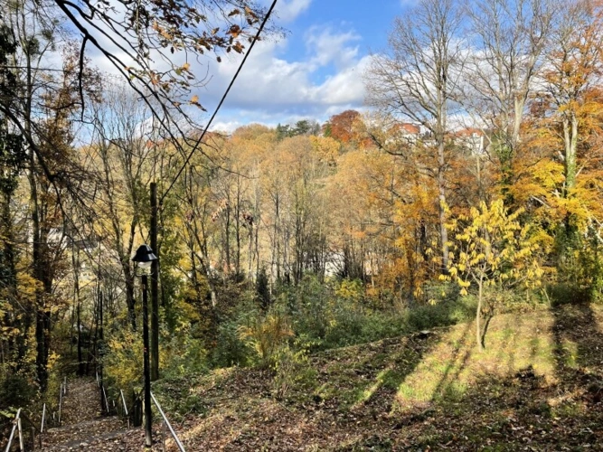 Blick nach Norden (3)