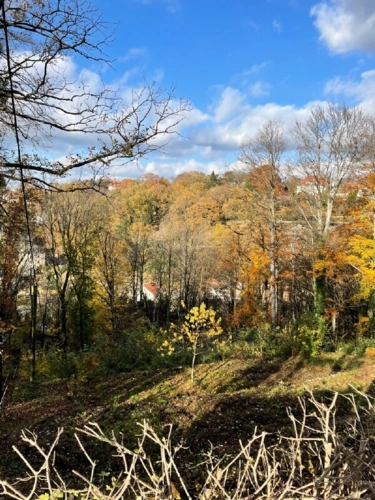 Blick nach Nordwesten