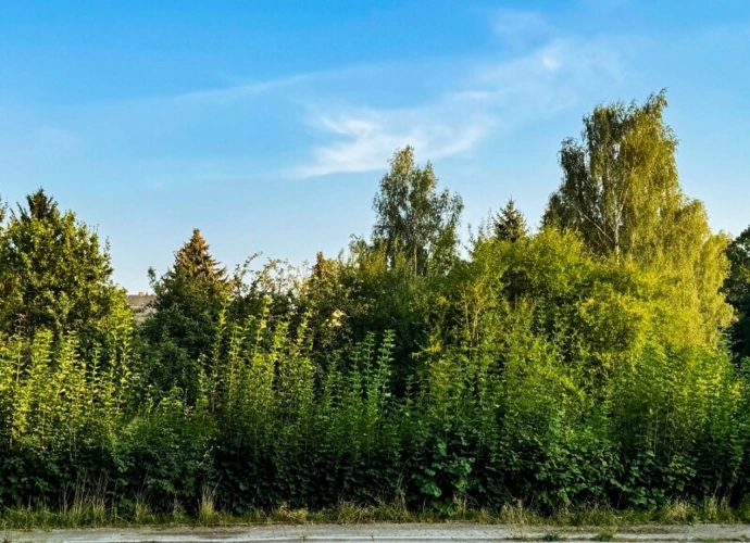 An einer Nebenstraße gelegen