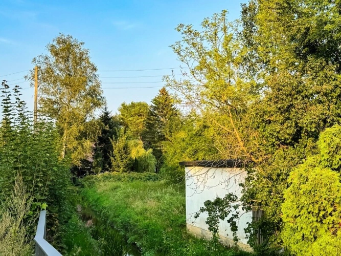 Wasser ist auch da (1)