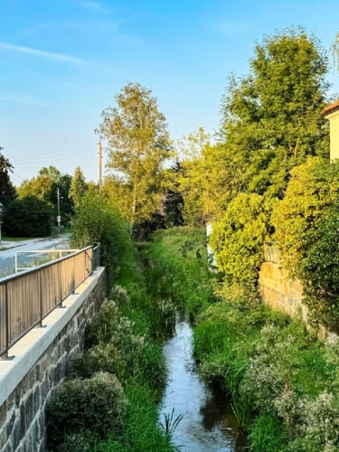 Wasser ist auch da (2)