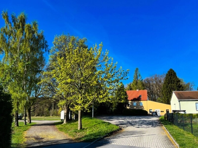 Zufahrt und Parkplatz_üa