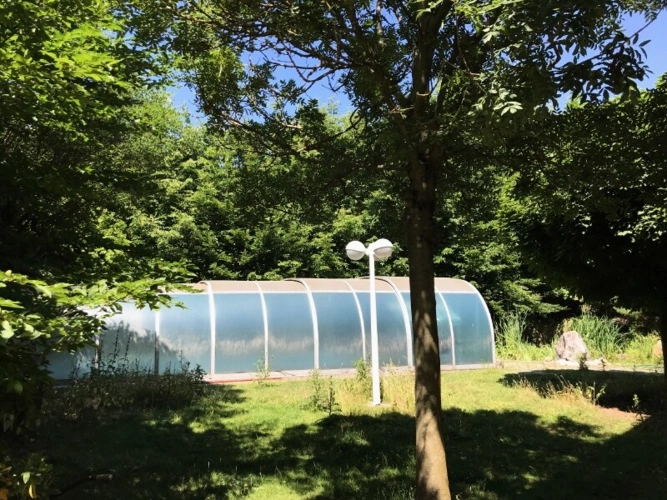 Blick in den Garten