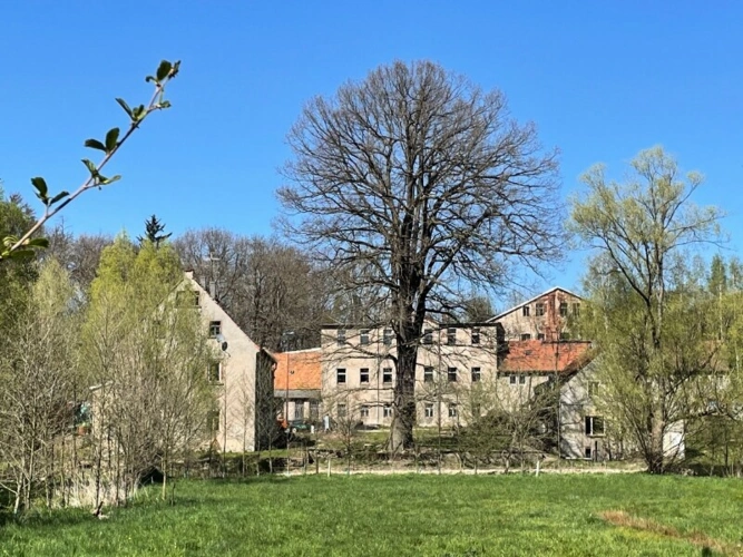 Ansicht von Süd im Frühling
