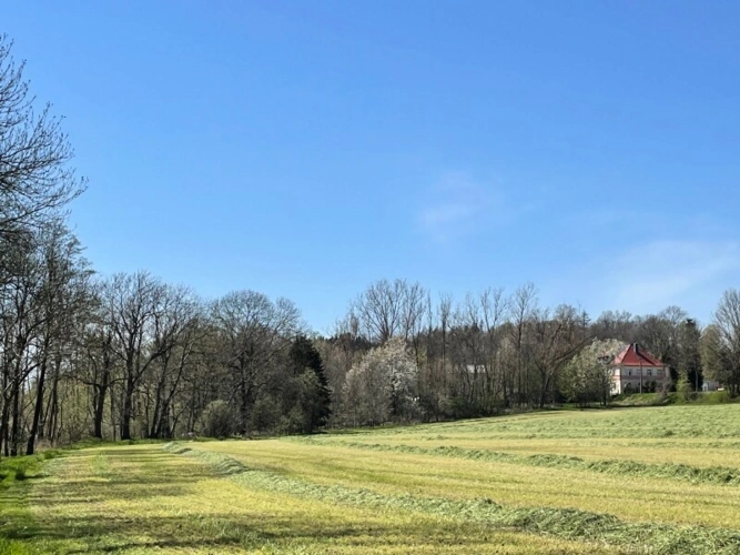 Ansicht von Südwest im Frühling