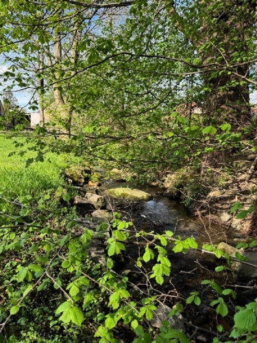 Rosenhainer wasser (2)