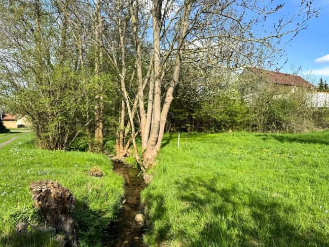Garten auf West (1)