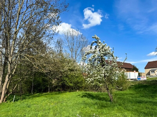 Garten auf West (2)