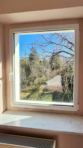 Blick in den Garten