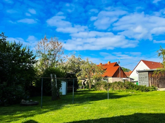 Blick in den Garten (2)