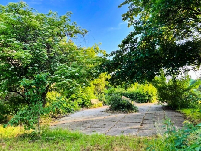Befestigte Gartenfläche