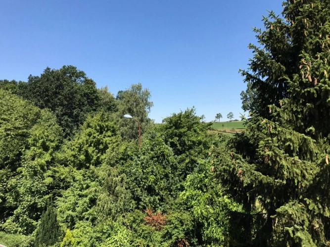 Ihr Blick vom DG nach Norden
