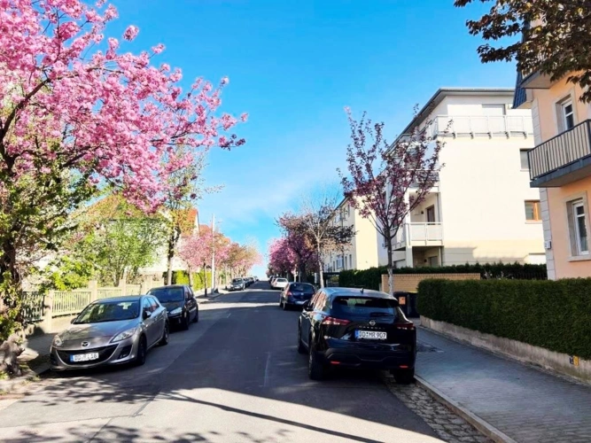 Blick in die Straße