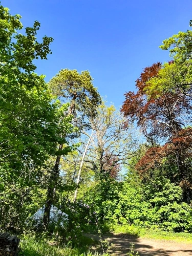 Vielleicht ein Bauplatz (1)