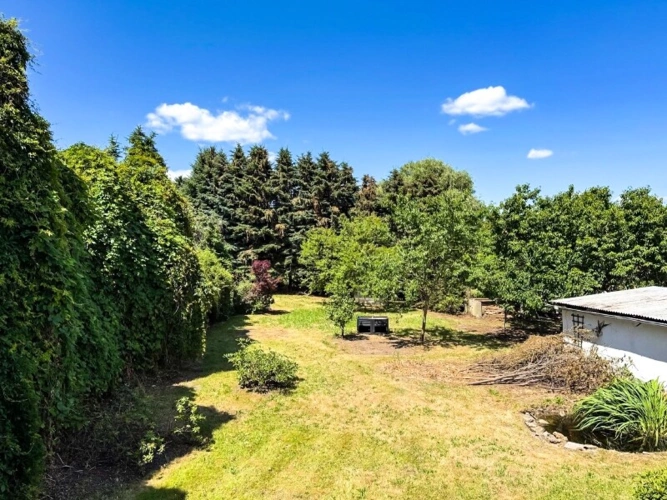 Blick nach Norden in den Garten