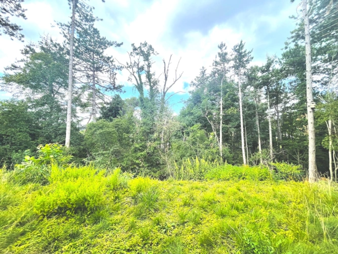 Garten und Aussicht