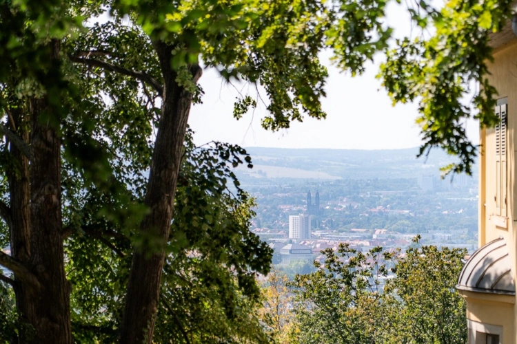 Blick auf die Stadt _ Zoom
