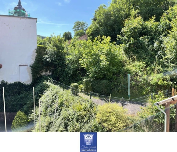 Blick ins Grüne