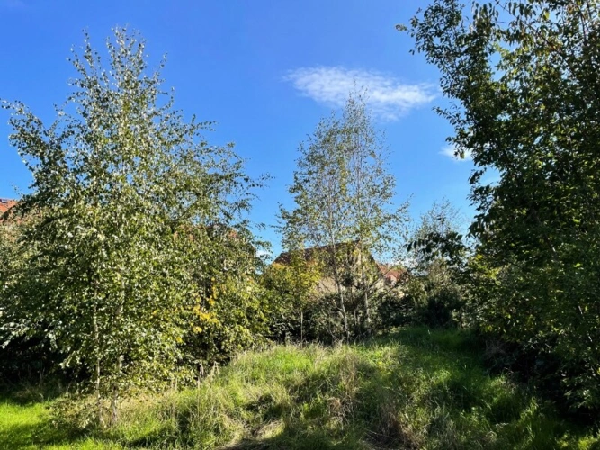 Ansicht von Nordwest (2)