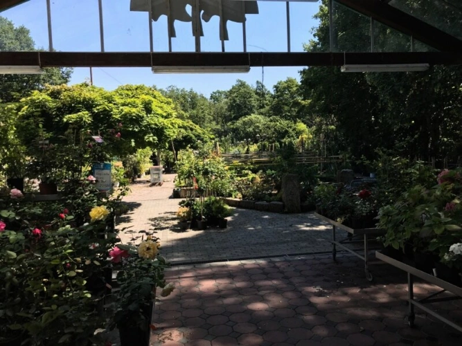 Freifläche (1)
