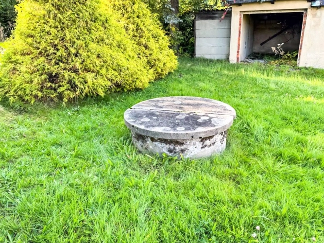 Im Garten