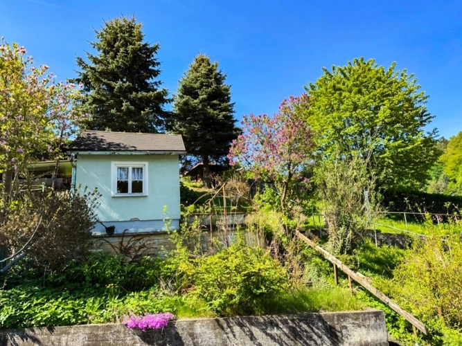 Blick aus DG in den Garten