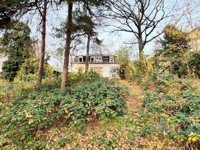 Blick vom Garten