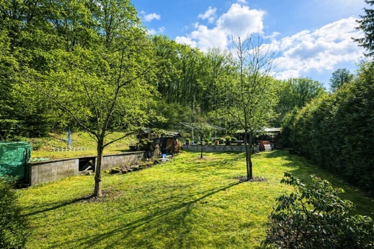 Blick in den Garten