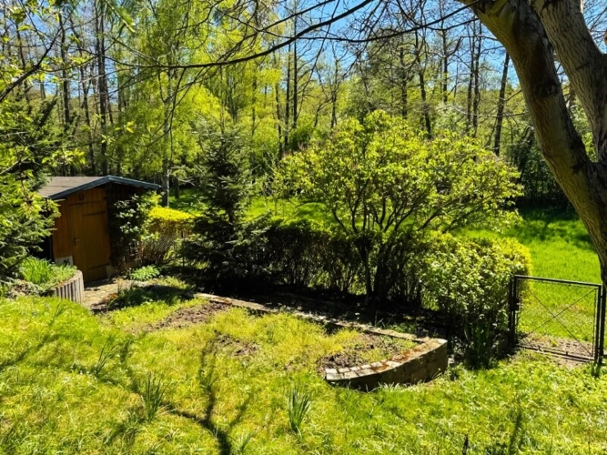 Gartenhaus und Zugang von SW