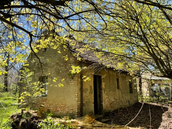 Gartenhaus
