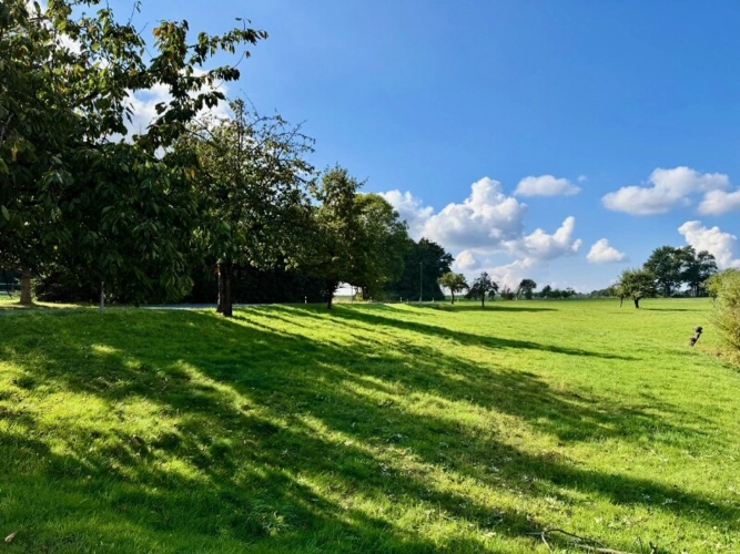 Blick nach Westen