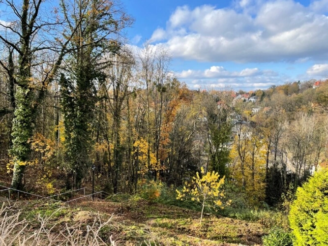 Blick nach Westen (4)