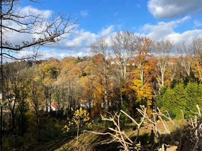 Blick nach Norden (4)