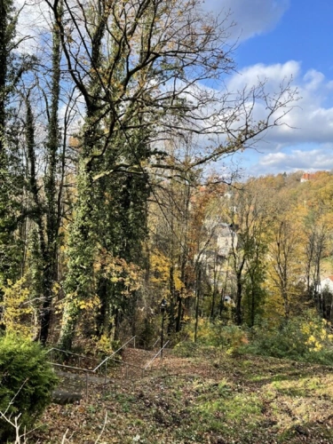 Blick nach Westen (2)