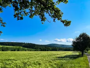 Drei Baukörper auf 100.000 m² Wald und Wiese - ein Paradies für Sie und Ihre Tie...
