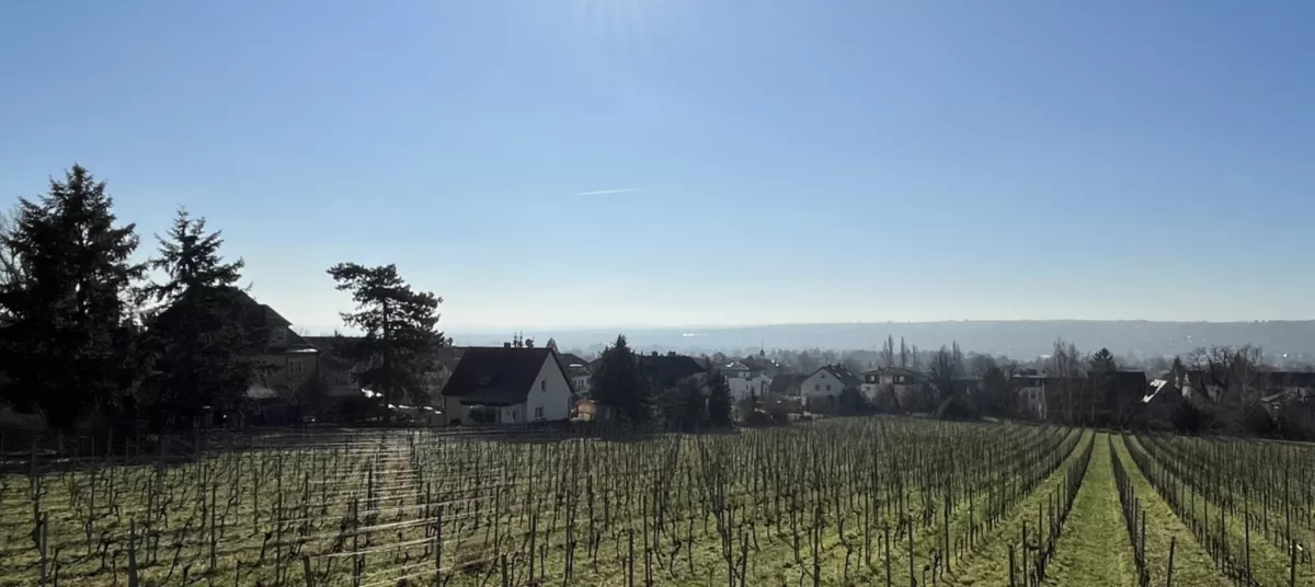 Anja Hasse Immobilien