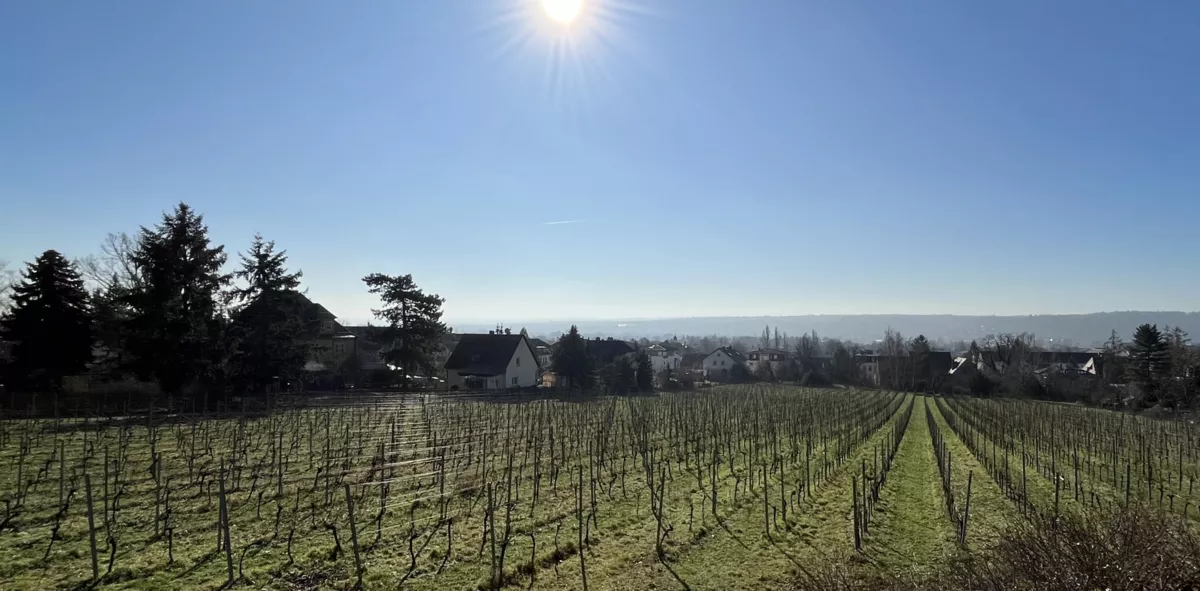 Anja Hasse Immobilien