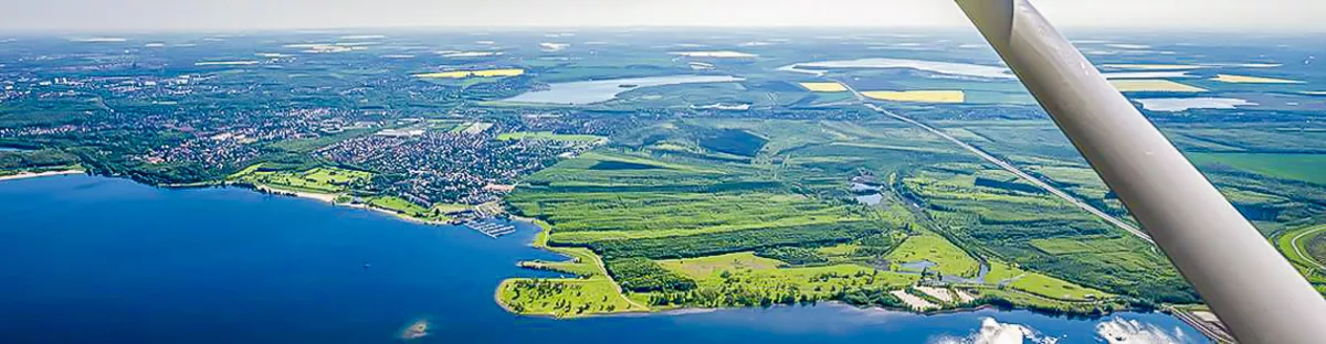 Neuseenland Immobilien