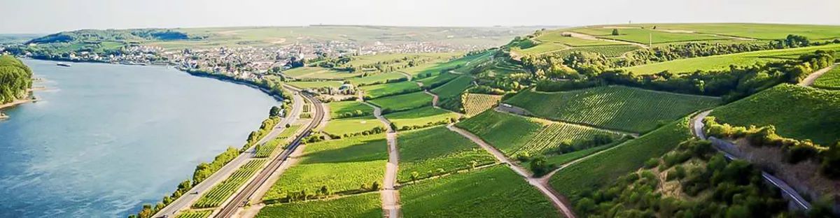 Rheinhessen Sparkasse