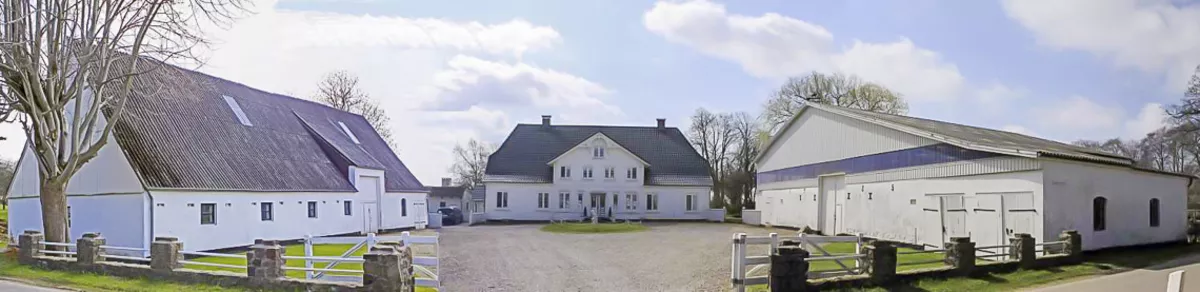 PPM Immobilien